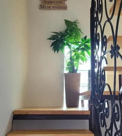 Apartment Aleksandar Lux *