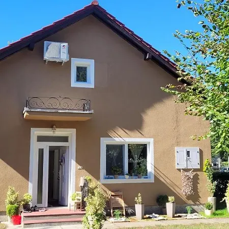 Aleksandar Lux Палич