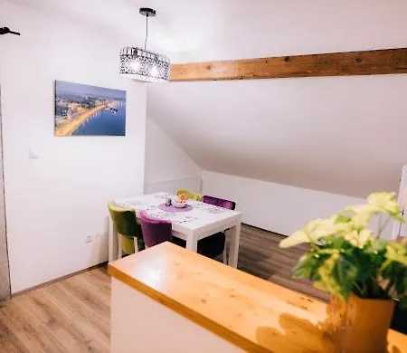 Apartment Aleksandar Lux *