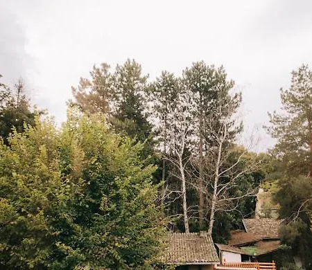 Aleksandar Lux Apartament