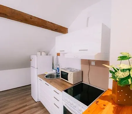 Apartament Aleksandar Lux Palić