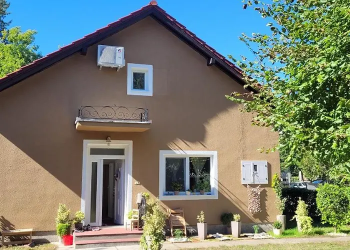 Aleksandar Lux Palić