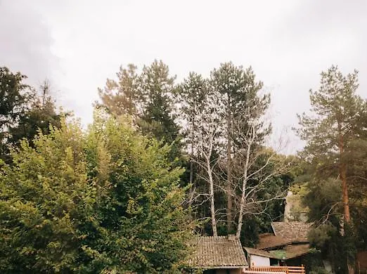 Aleksandar Lux Lägenhet